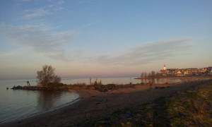 20141125_084548 Urk